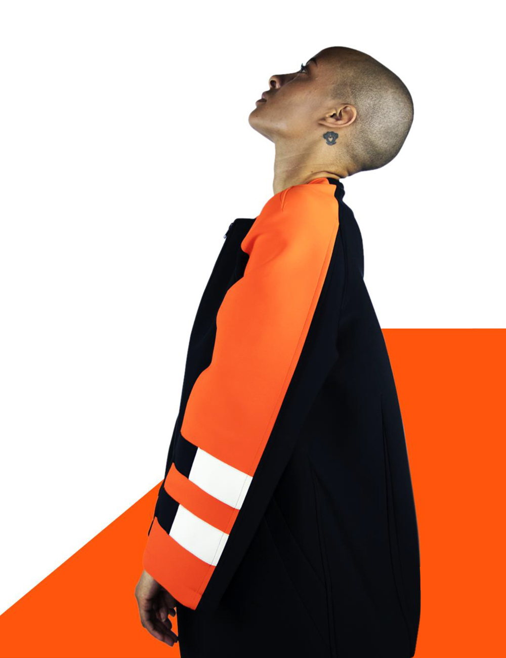 Vertical Project Image